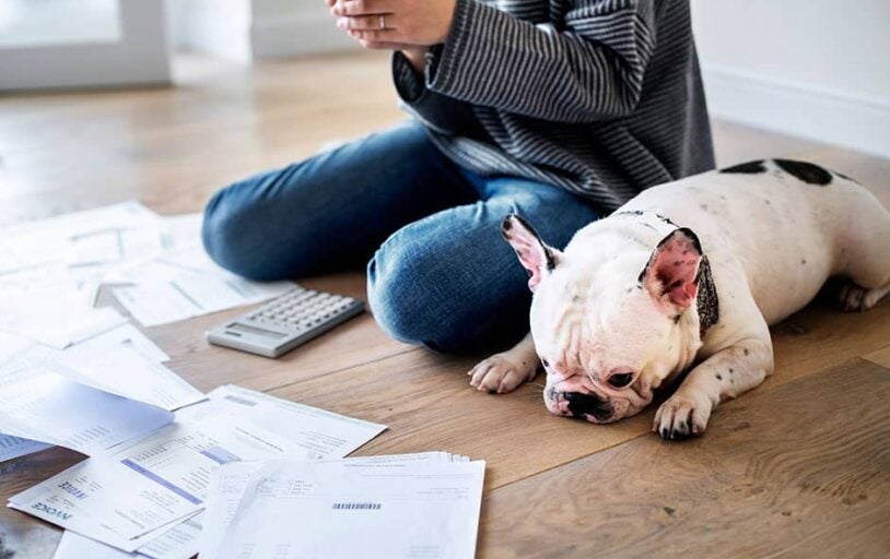 woman with dog paying bills